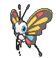 Beautifly (normal)