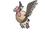 Mandibuzz (normal)