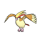 Pidgeot (normal)