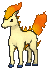Ponyta (normal)