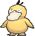 Psyduck (normal)