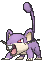 Rattata (normal)