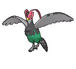 Unfezant (normal)