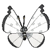 Vivillon River