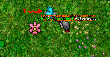 Pokemon loot.png