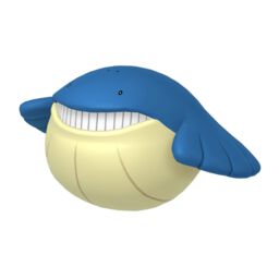 Img-wailmer.jpg
