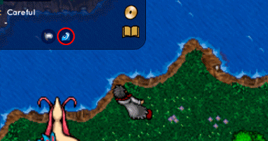 Surf 2.png