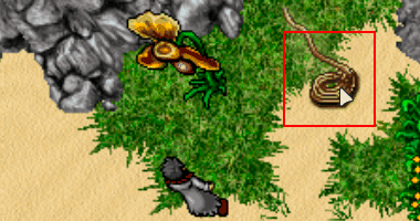 Rope.png