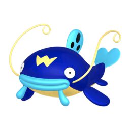 Img-whiscash.jpg
