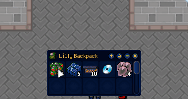 Item look.png