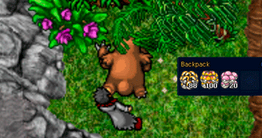 Catch pokemon mobile.png