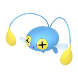 Img-chinchou.jpg