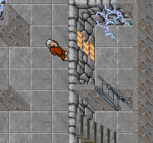 Rayquaza porta.png