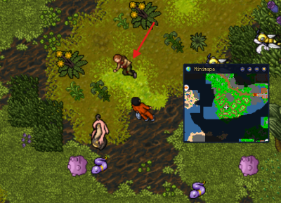 Conquest-quest01.png